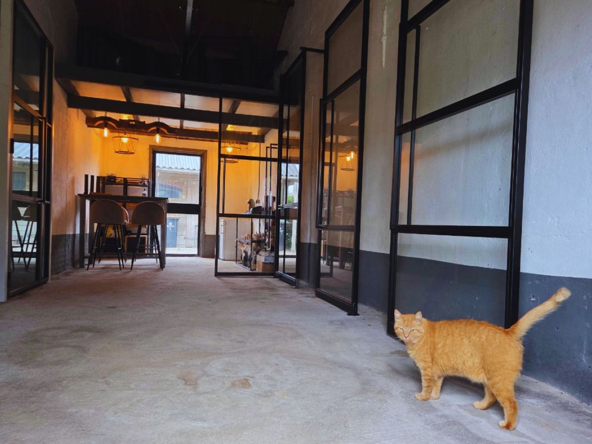 Showroom LekView Techniek